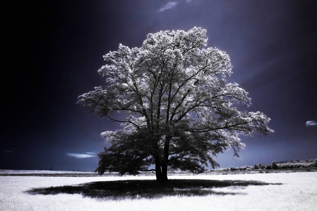 当下中年普通人创业出路在哪,消失的生意人