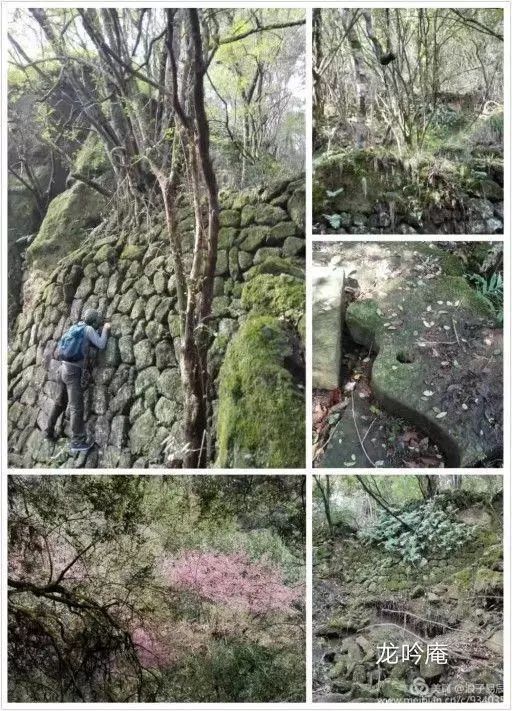 武夷山自然遗产有哪些,武夷山有哪些古迹