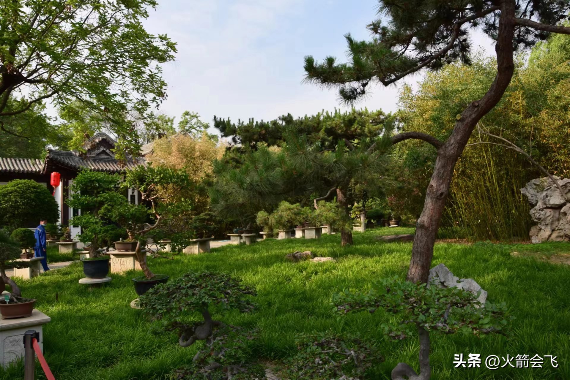 天津旅行攻略七日游价格多少,12小时极限游天津