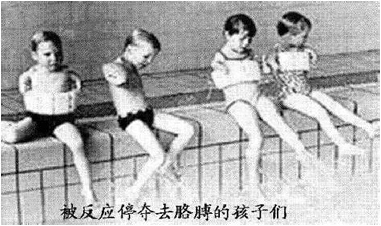 没有四肢的人中国,没有四肢人可以活吗