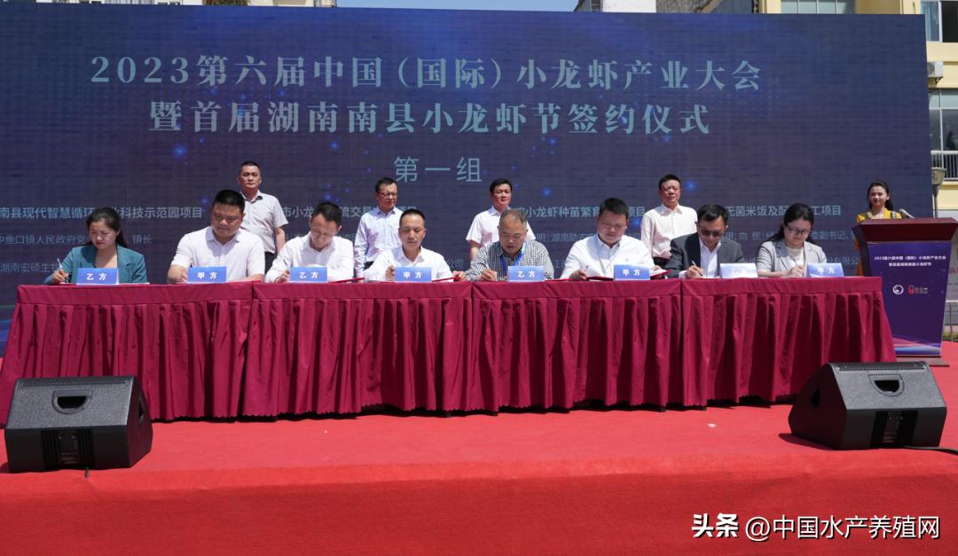 2023年南县小龙虾价格行情,南县小龙虾价格报价