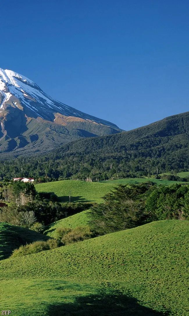 太美了100张人间美照,太美了最美中国红