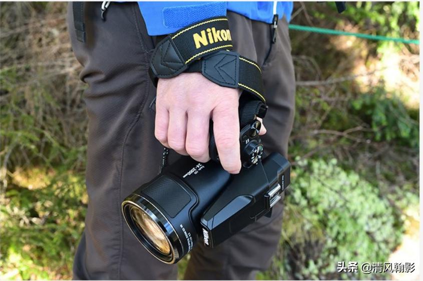尼康p950拍产品怎么样,拍鸟一定要买大炮筒吗
