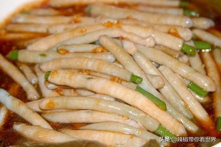 海岸线：海南岛西海岸之儋州——找寻隐秘在千年时光里的独特美景