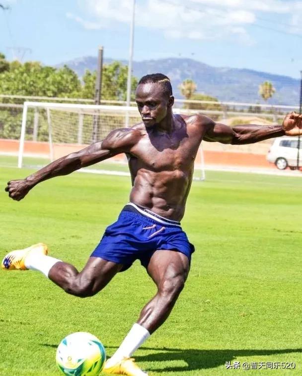 德甲最贵引援,拜仁多特转会支出排名