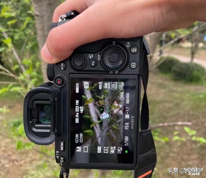 专业摄影手机拍摄技巧有哪些,手机拍照有什么好的拍摄方法