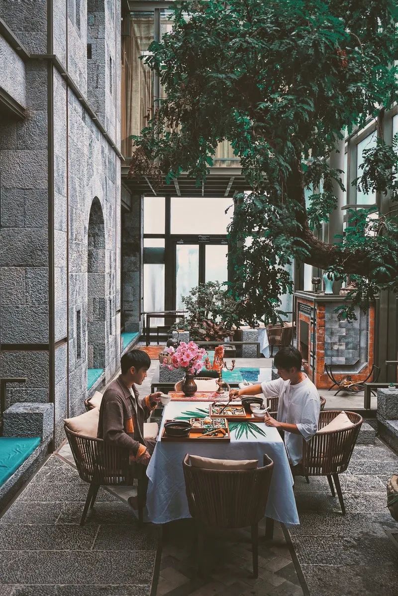 拜托！喝一杯价值8000多万的古树茶，住雪山博物馆酒店，超酷欸