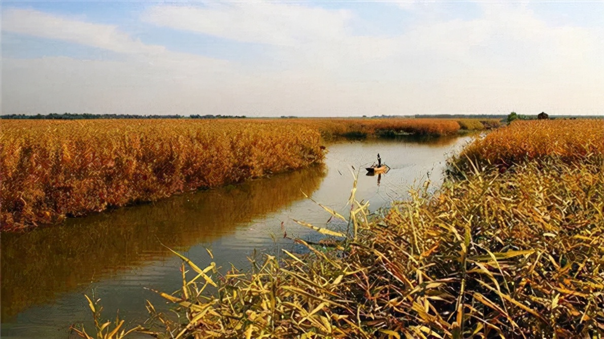 河北安新话,安新县历史上的文化