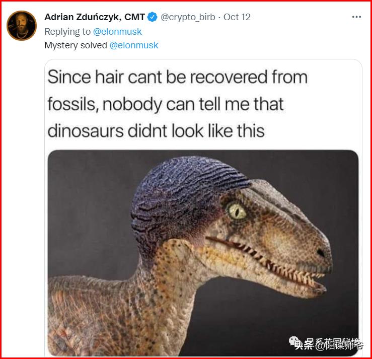 马斯克没有钱之前做什么,马斯克再次带货