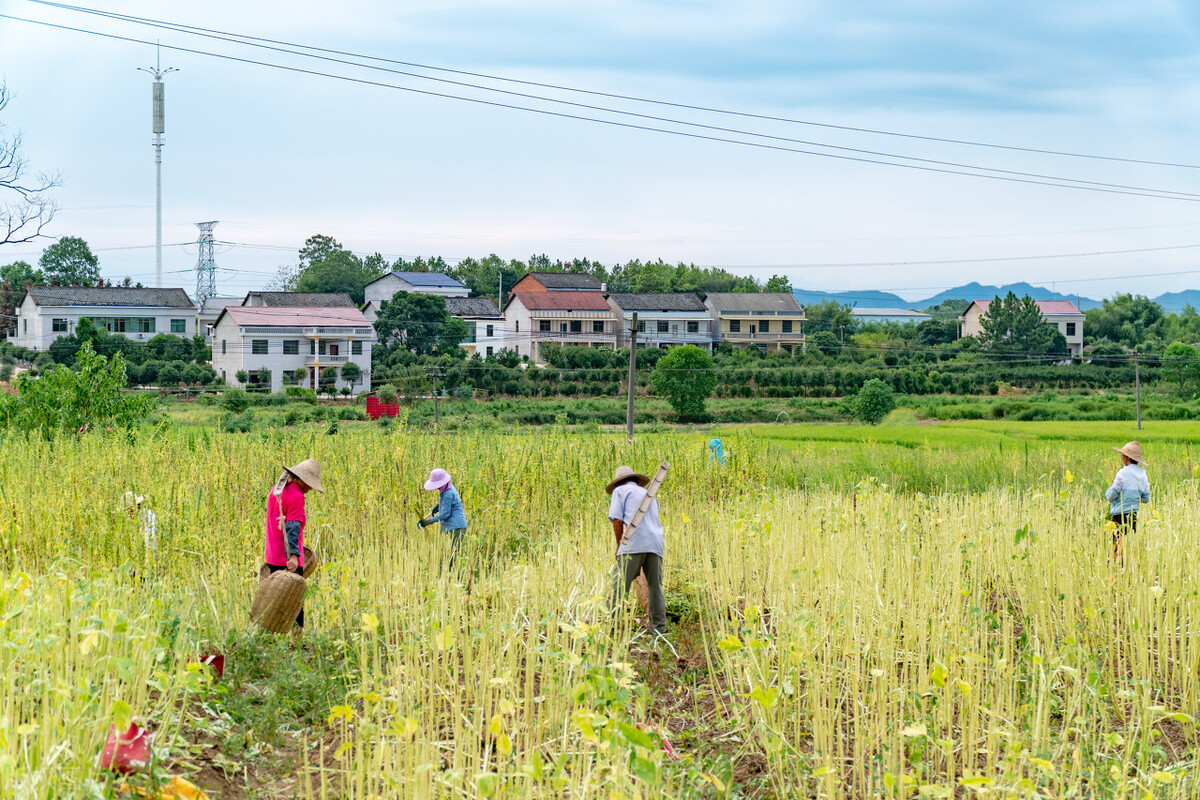 三岁就被父母送人然后又跑回来了,七岁被父亲送人