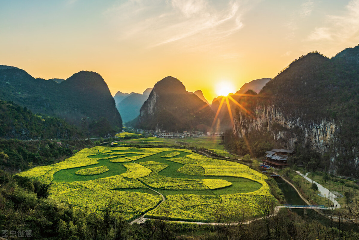 那棵美丽丰满的香柏树