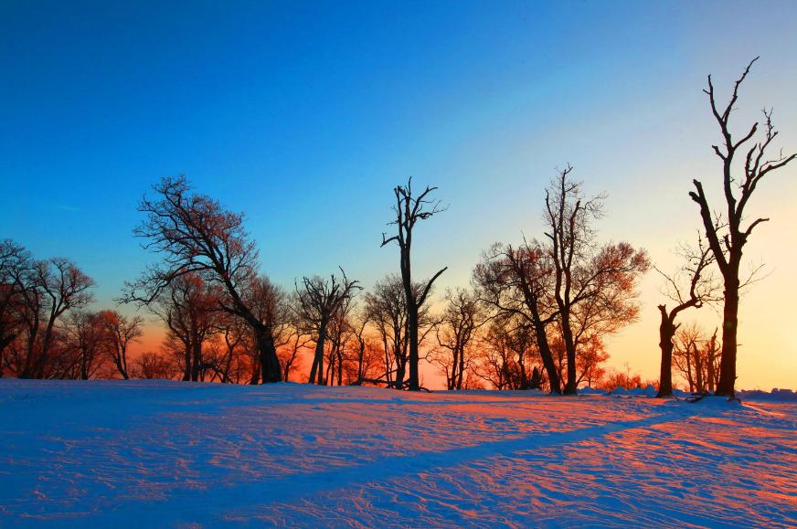 描写霜的诗句古诗名句,描写寒霜的诗句古诗大全