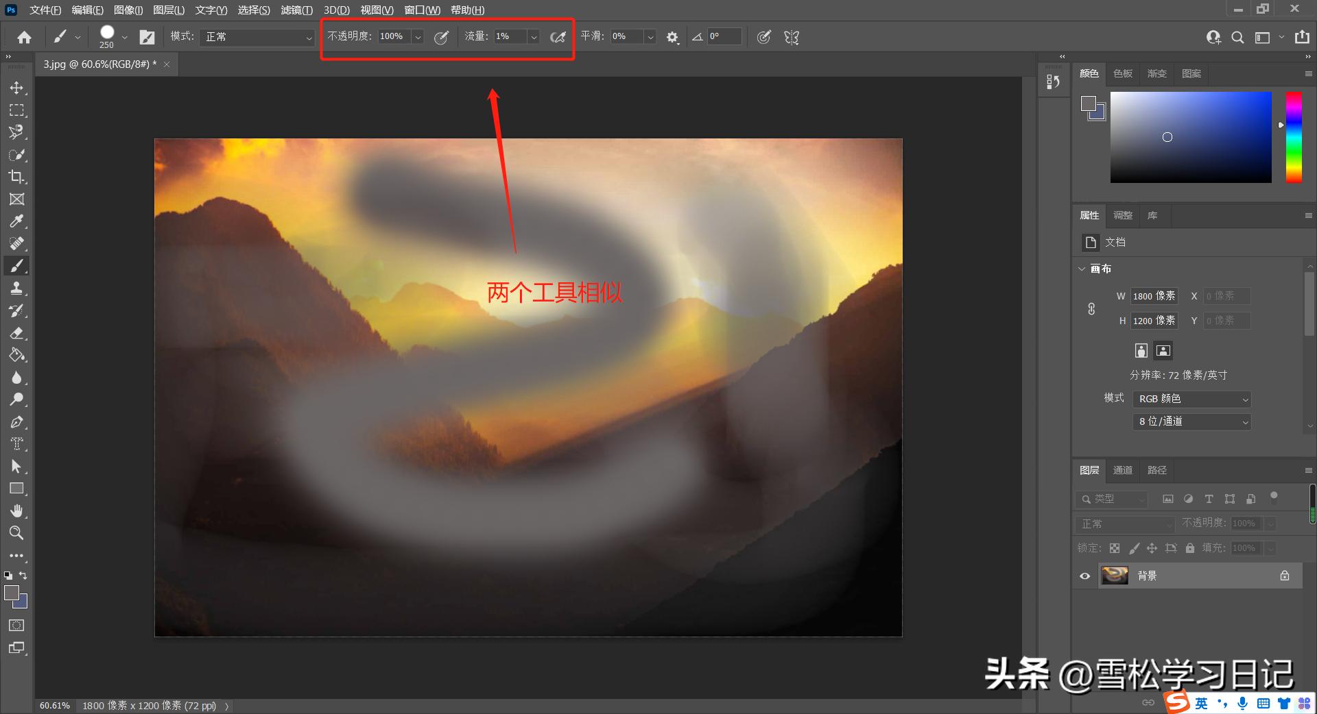 ps的cameraraw如何用画笔工具,ps基础教学画笔颜色