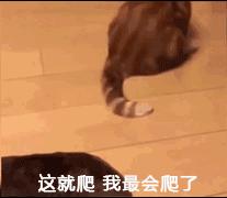 又笨又犟又懒的人怎么拯救,人特别懒怎么才能变得勤奋