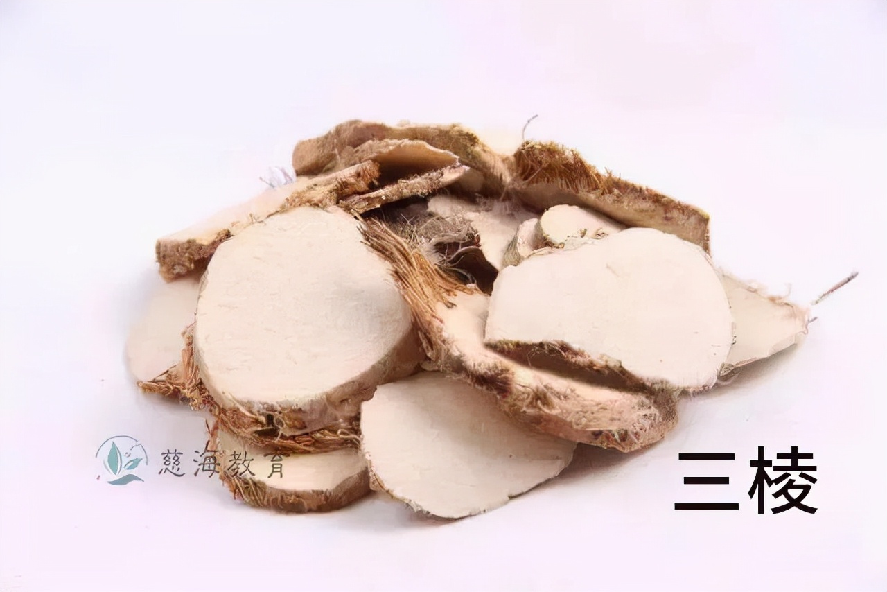 中药三棱的功效作用,每天学习一味中药视频