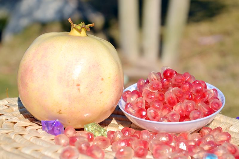 速来，这个初秋，你和石榴有个约会