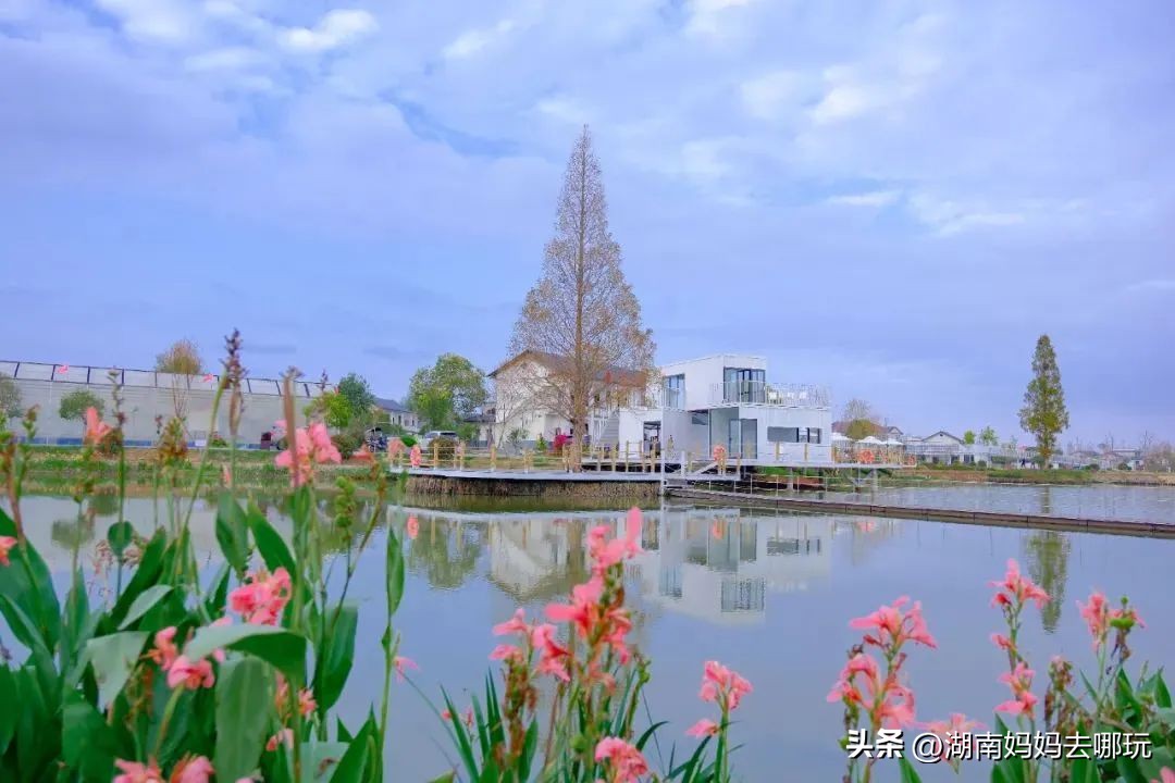 长沙周边乡村美出新花样！非洲“小小国”、网红鱼鳞坝，每一个都超想去
