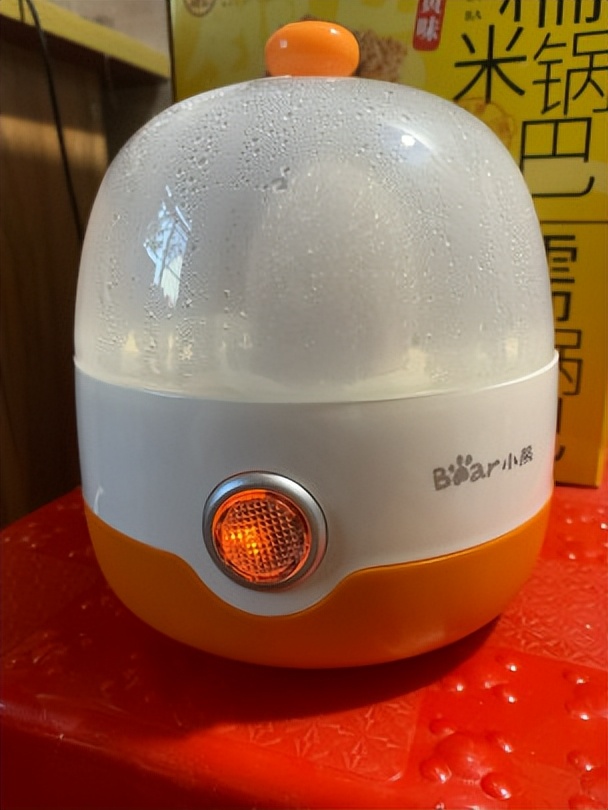 煮蛋器有必要买不锈钢的吗,煮蛋器哪个牌子的安全