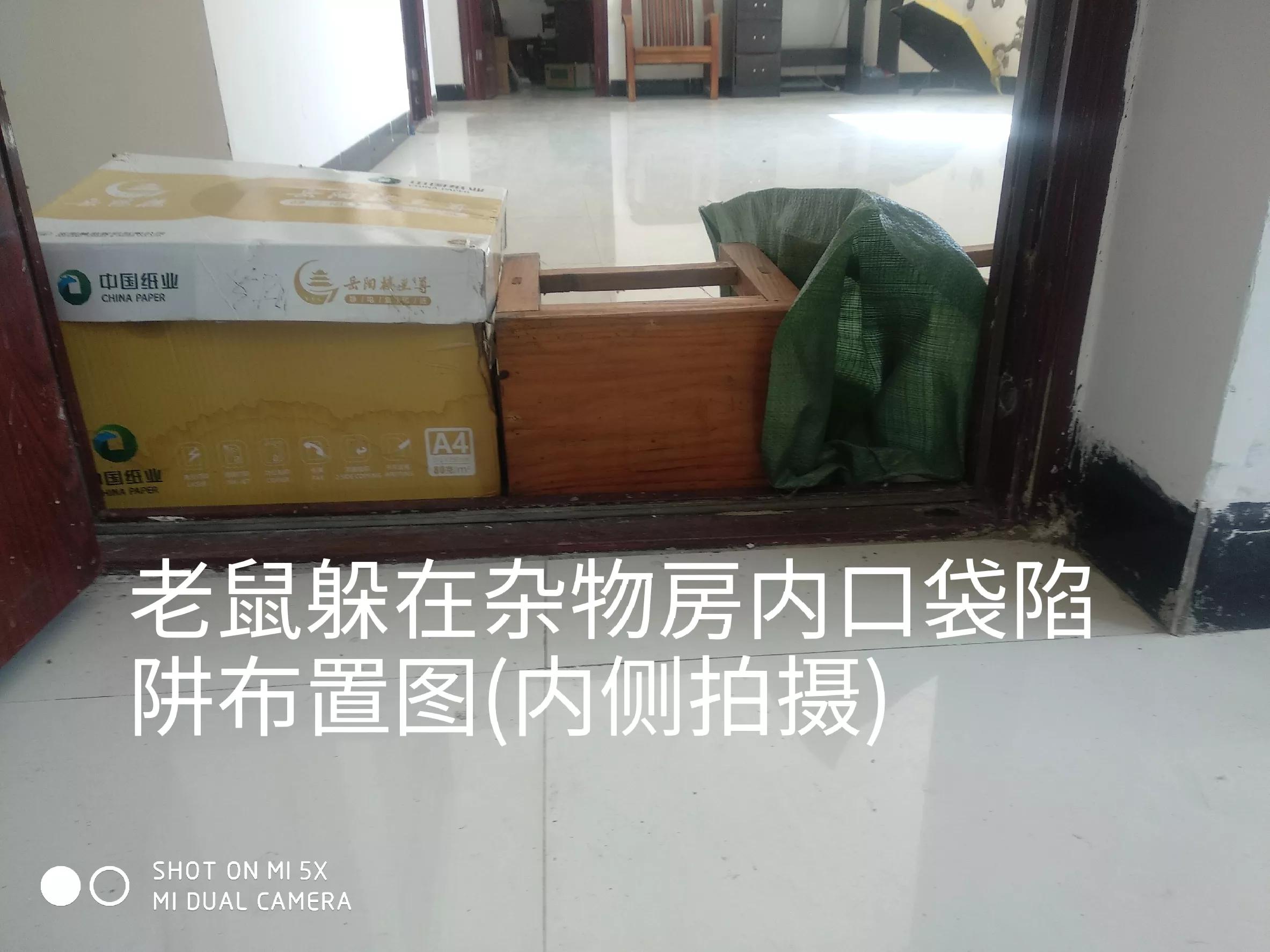 怎样才能抓到房间里躲着的老鼠,如何抓出躲在屋子里的老鼠