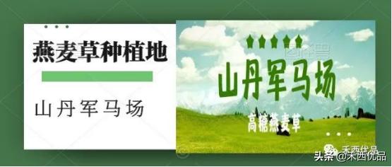 奶牛胃的功效与作用,奶牛移位能引起什么病