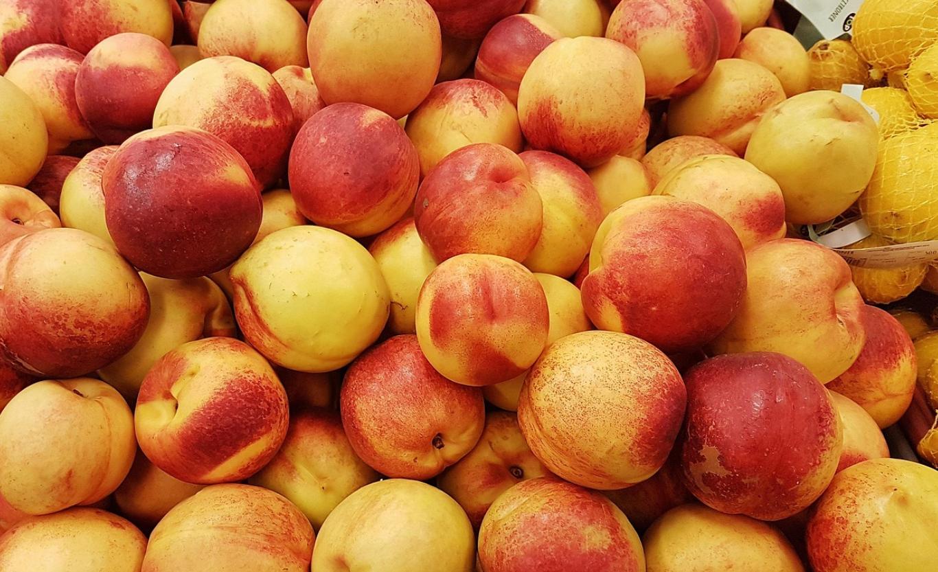 中国的汉语拼音对学英语有帮助,分析学习汉语拼音的方法