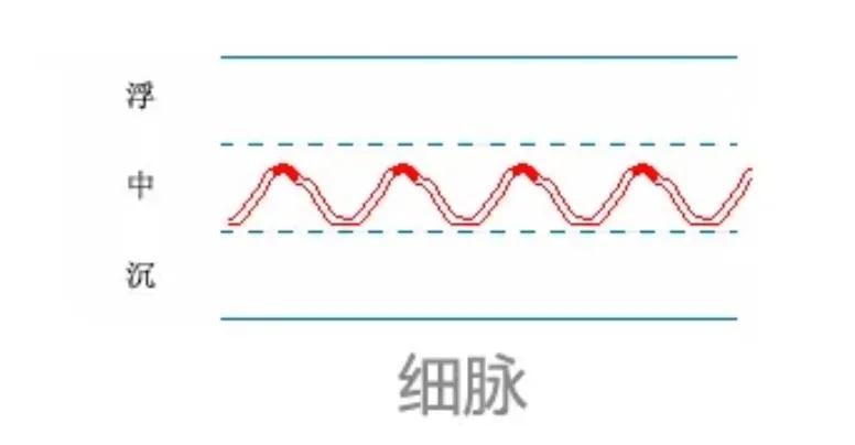 中医28脉诊歌诀及示意图,中医28脉全部脉象图解
