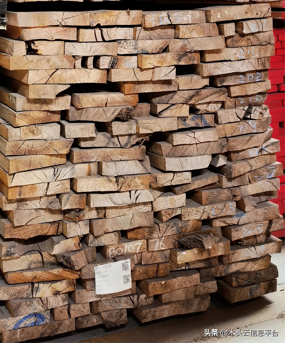 哪个品种的榉木做家具比较好,无榉不成具的来历