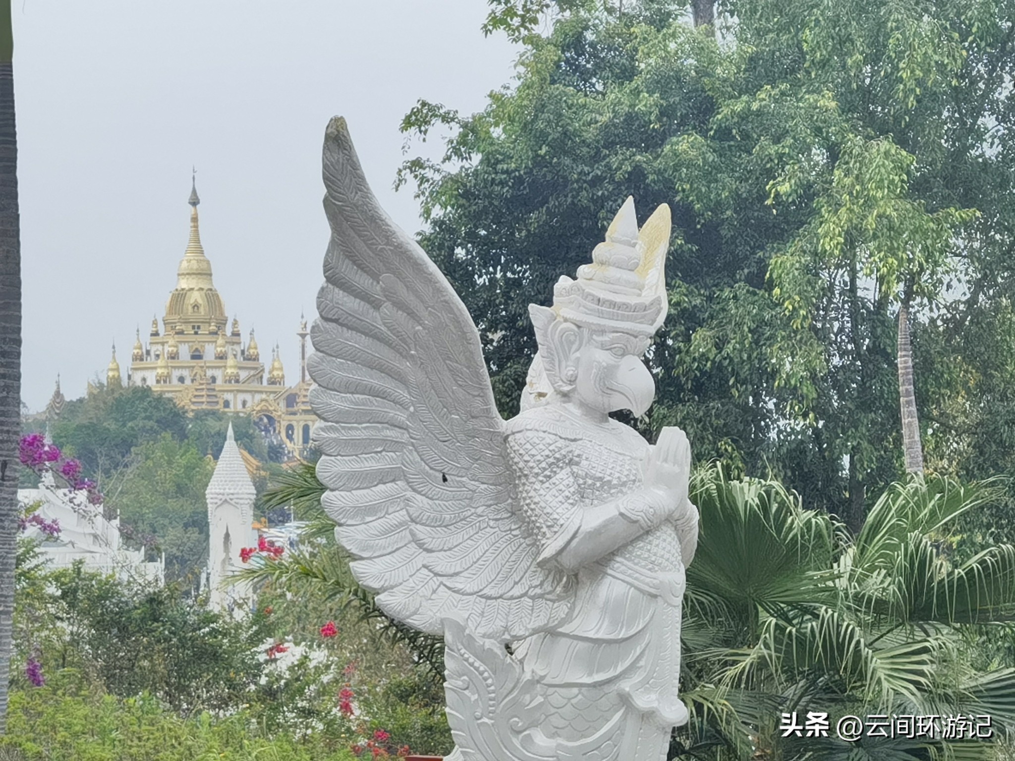 缇庝附寰峰畯娴极涔嬫梾,婕父寰峰畯