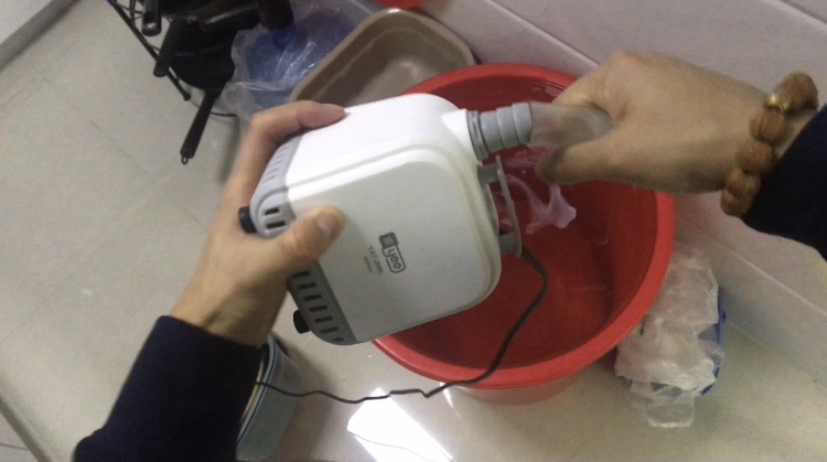 养鱼日记缸尾,养鱼日记底滤