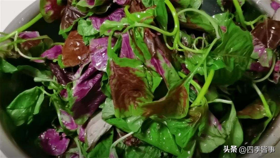 老年人上火了吃什么水果降火最快,秋季易上火常吃这十道菜