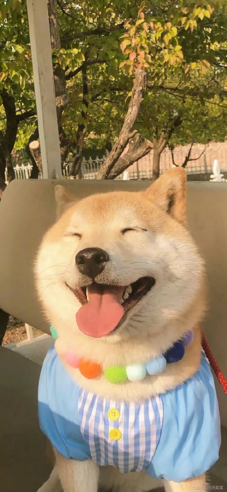 pytorch与图像识别的关系,python图像识别pytorch