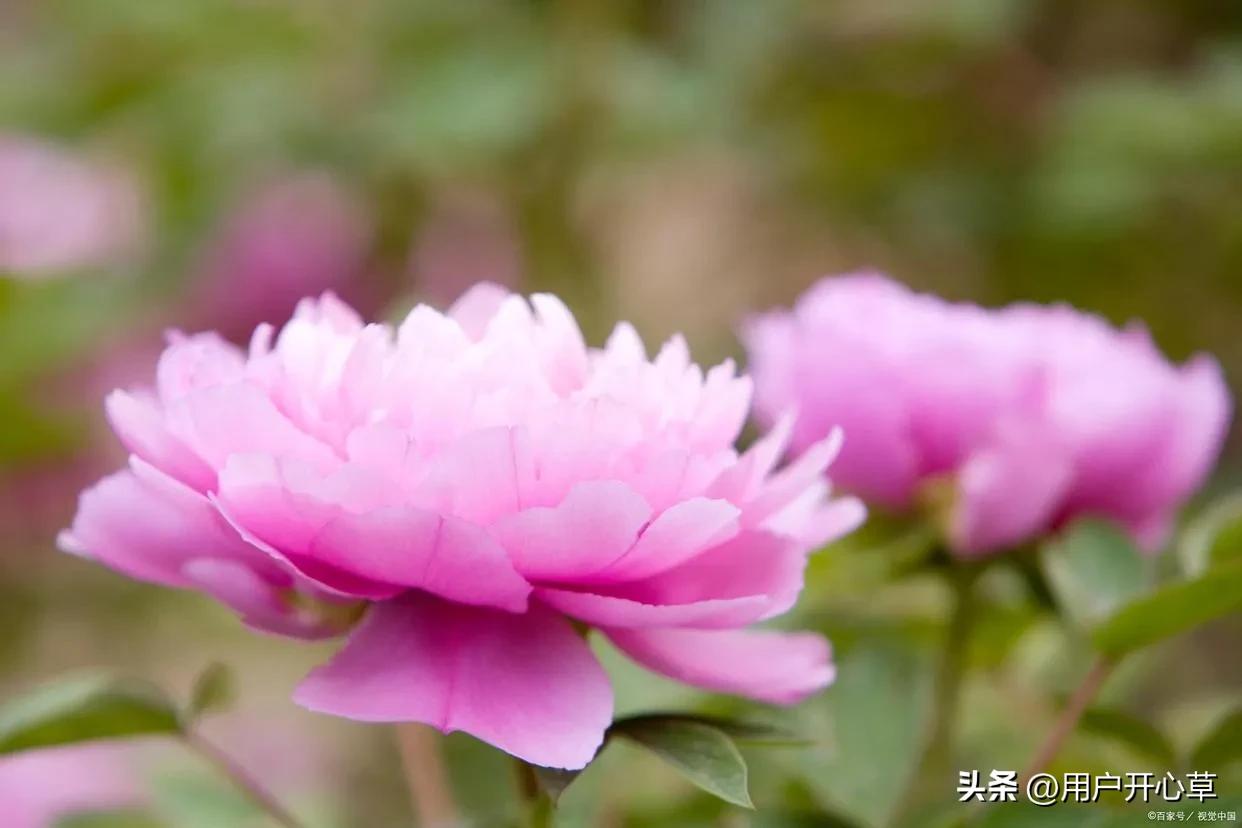 涂磊曾经说离婚原因,涂磊说有多少人说三观不合就分手