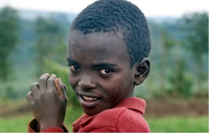 蛟是什么动物的特征,蛟是什么动物现实中存在吗