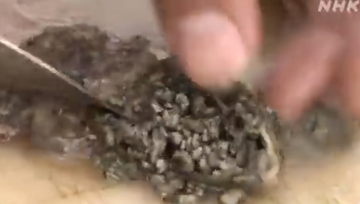 日本海岸现大量鱼尸体,日本海滩惊现大量乌贼尸体