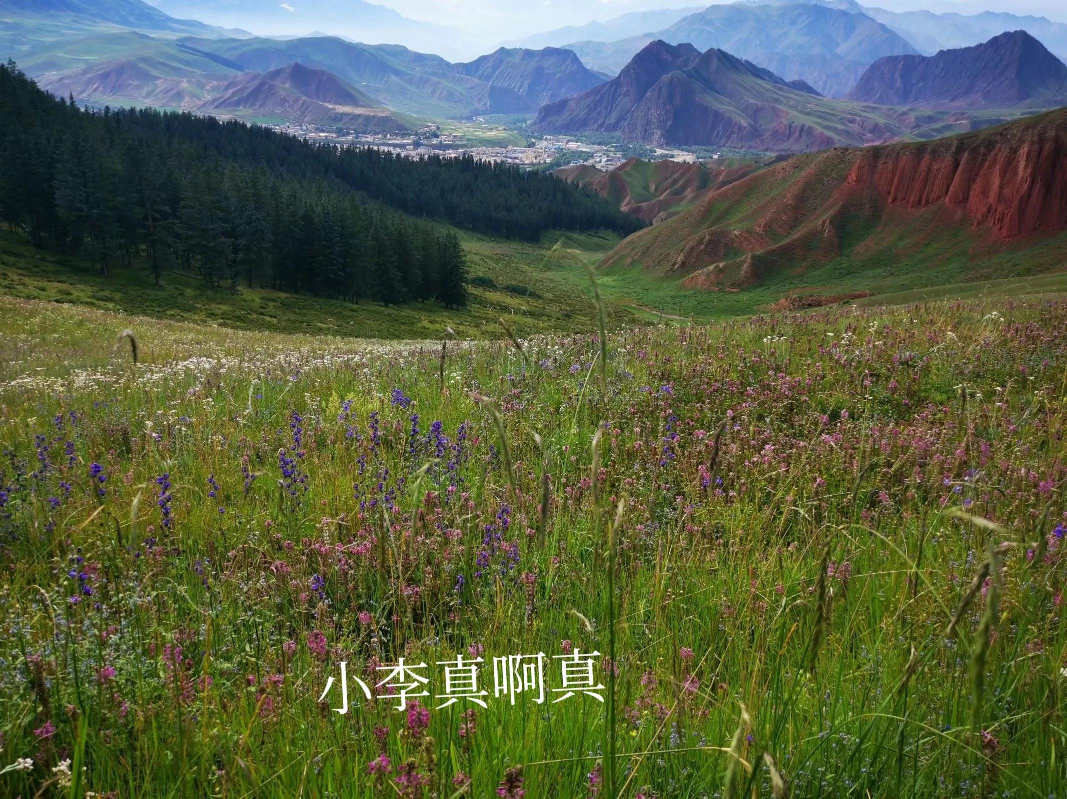 青海跟团游为什么不包餐,什么人不建议去青海旅游