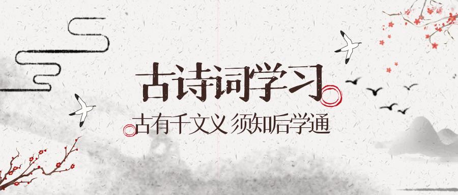 语文学习|古诗词学习-古代诗人艺术风格解析|白居易（值得学习）