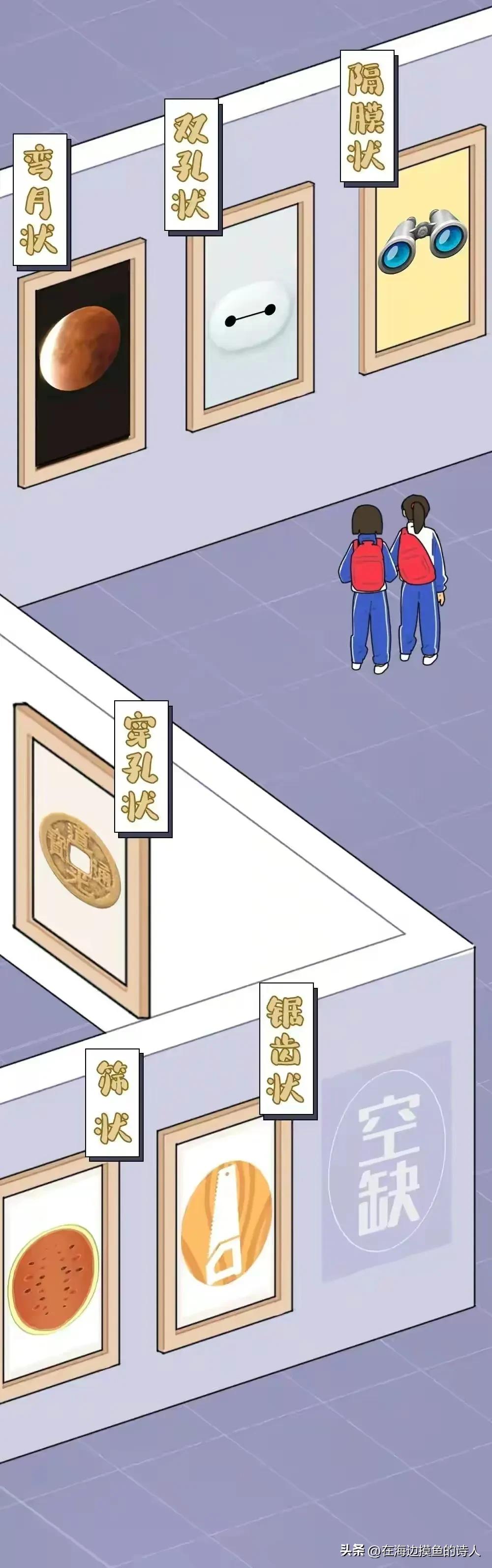 女生生理结构冷知识科普,奇妙的女孩子