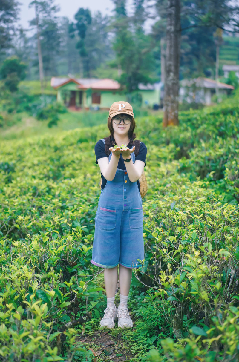 斯里兰卡旅游攻略必去景点,斯里兰卡最佳旅游攻略