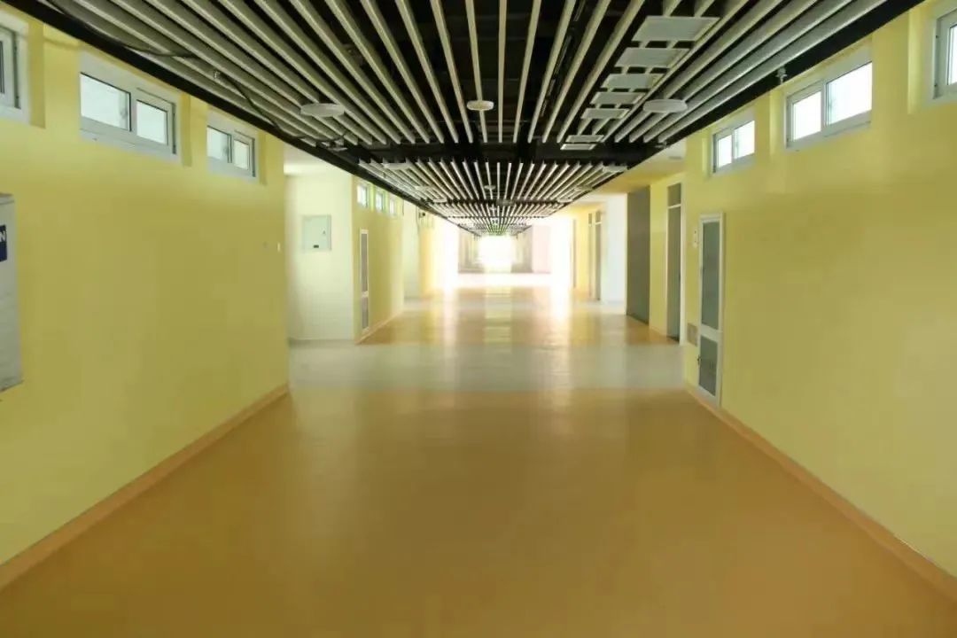 中关村一小科学城分校运动会,2023年中关村一小科学城分校