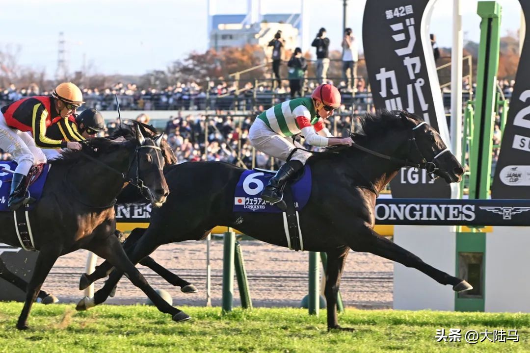 日本东京奥运会赛马比赛,东京赛马比赛视频2021