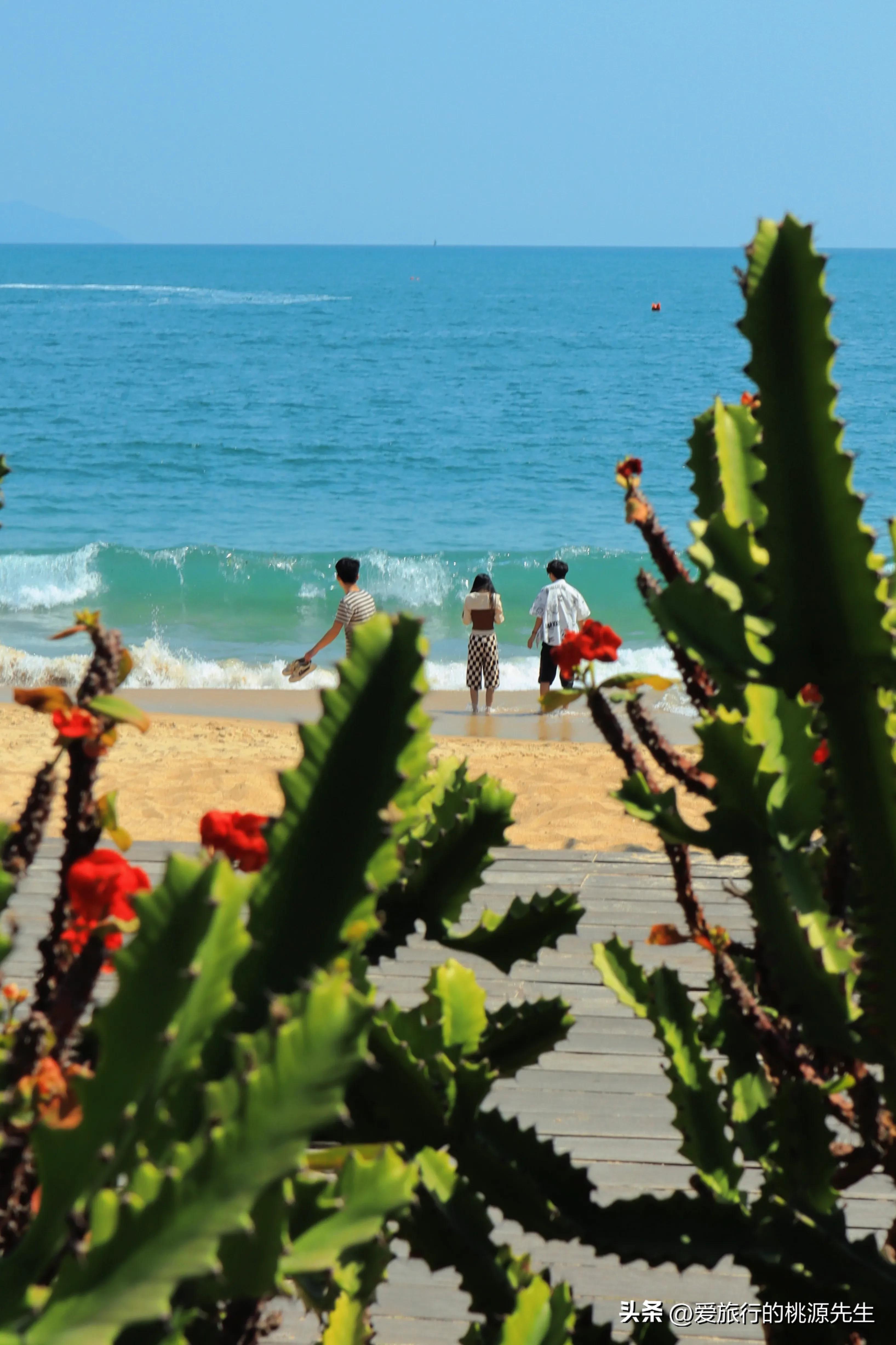 大梅沙怎么玩才能玩得好,大梅沙旅游攻略怎么做