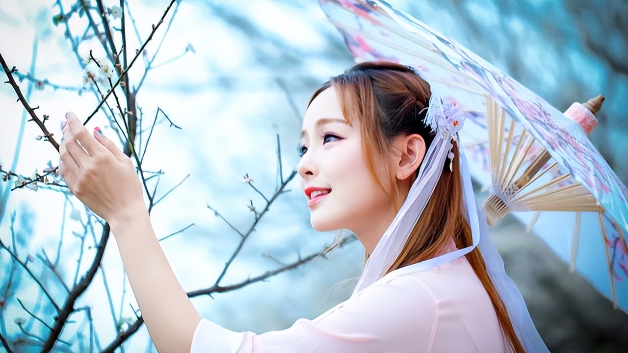 梅花被赞作千古第一花,更是诗人的恋人,是哪几方面最吸引古人?