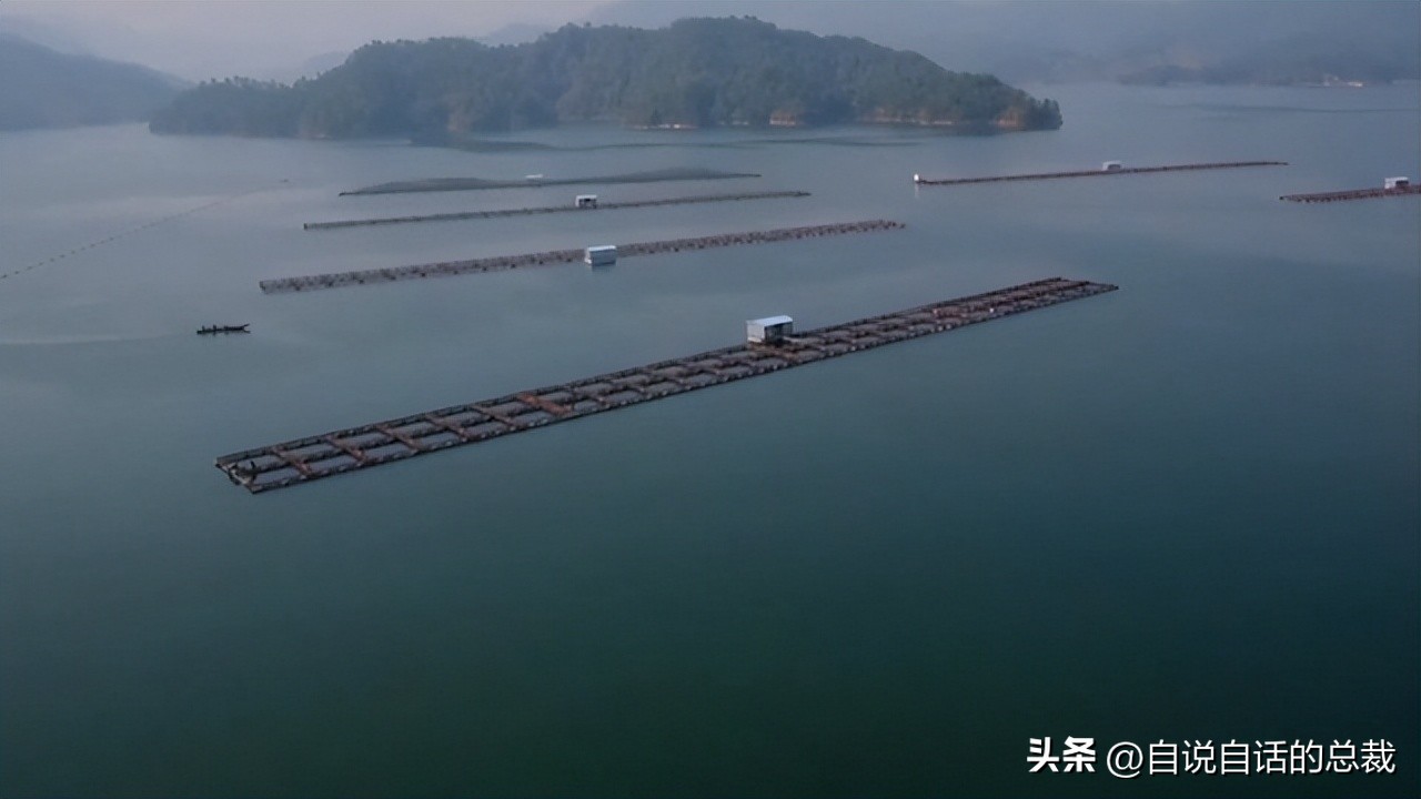 从2亿年不进化的王者，到比黄金还贵的食物，背后隐藏着商业秘密