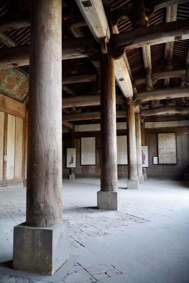 贵州发现50米高的千年金丝楠木,贵州有一棵金丝楠木价值十亿