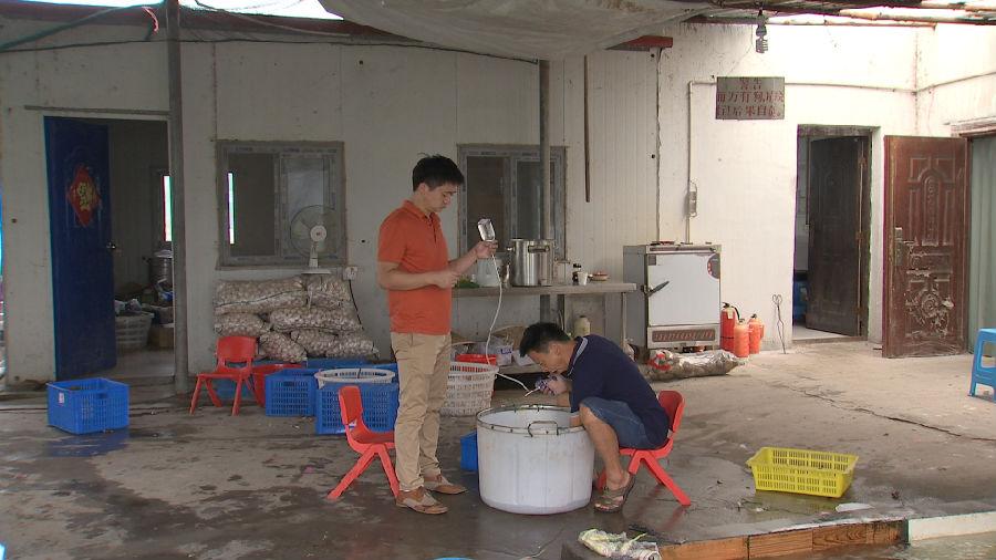 小伙养泥鳅年入百万,90后小伙养变异泥鳅