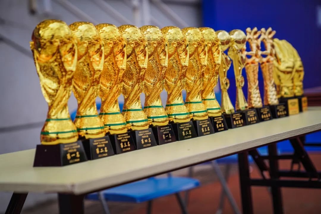 “蓝”骋绿茵“足”够精彩｜南京消防2023年“火焰蓝杯”五人制足球赛圆满落幕