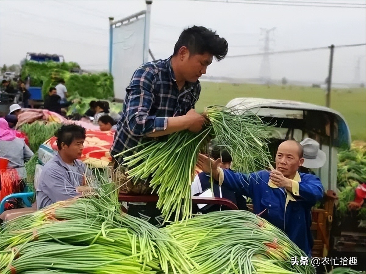 蔬菜批发价突破2元1斤,蔬菜突然猛涨价