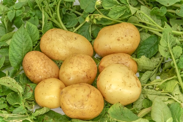 种植养殖创业做什么好,90后创业养殖什么合适