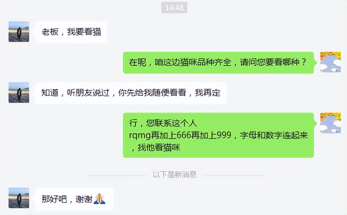 宠物店回收猫咪多少钱一只,宠物店猫咪多少钱一只广东肇庆