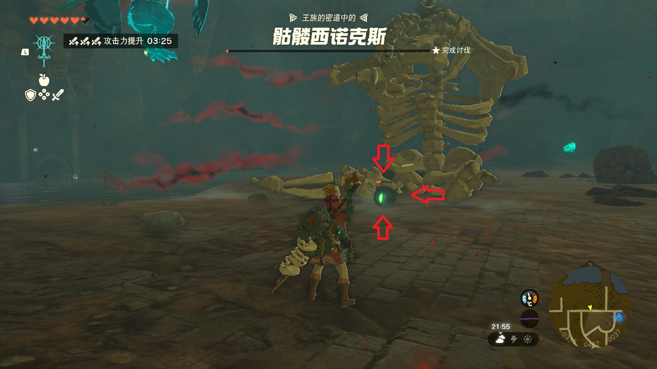 塞尔达王国之泪地下骷髅马位置,塞尔达王国之泪骷髅的左眼